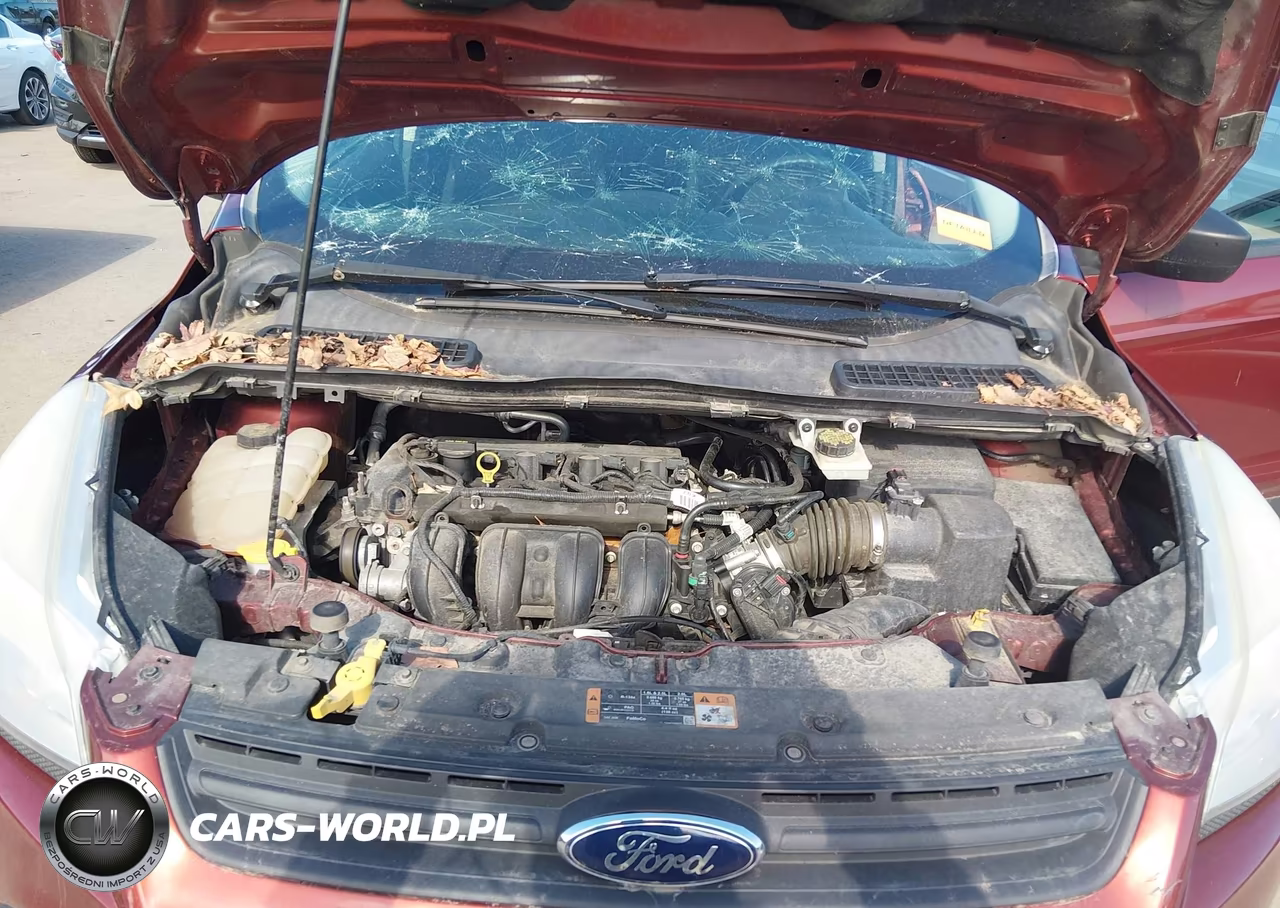 2014 Ford Escape S VIN:1FMCU0F71EUD64316 - 10