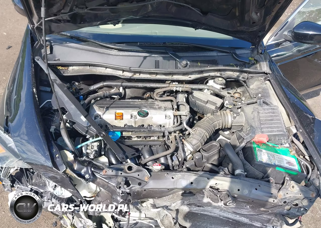 2010 Honda Accord 2.4 Ex VIN:1HGCP2F76AA181711 - 10