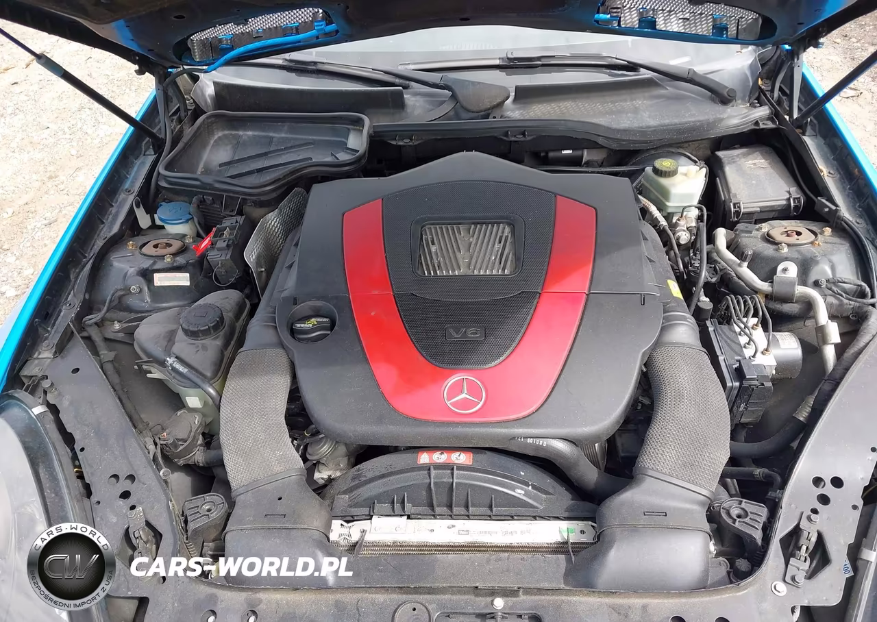 2009 Mercedes-Benz Slk350 VIN:WDBWK58F19F190569 - 10