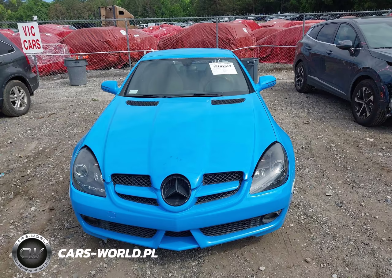 2009 Mercedes-Benz Slk350 VIN:WDBWK58F19F190569 - 12