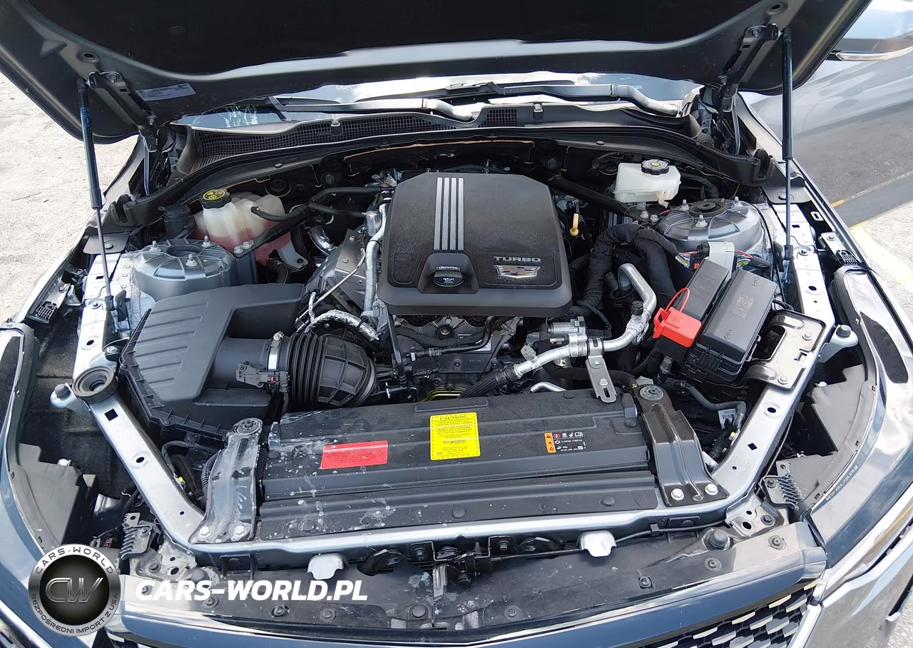 2021 Cadillac Ct4 Premium Luxury VIN:1G6DB5RK3M0130036 - 10