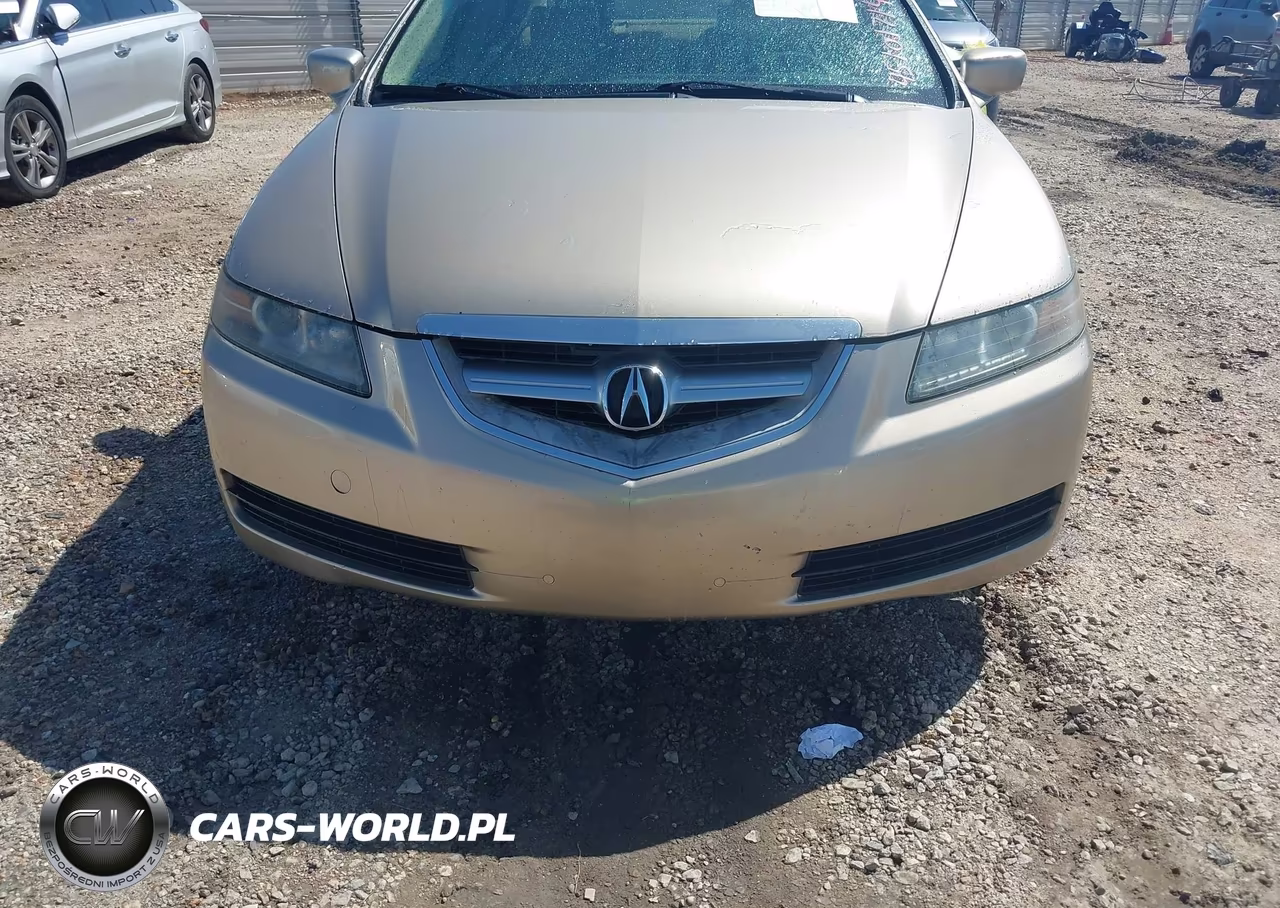 2004 Acura Tl VIN:19UUA66244A061265 - 12