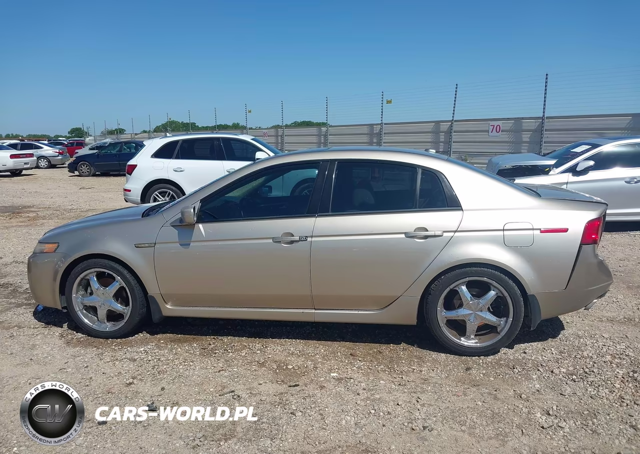 2004 Acura Tl VIN:19UUA66244A061265 - 14