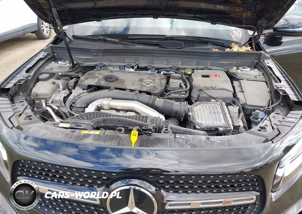 2024 Mercedes-Benz Glb 250 4Matic VIN:W1N4M4HB1RW377264 - 10