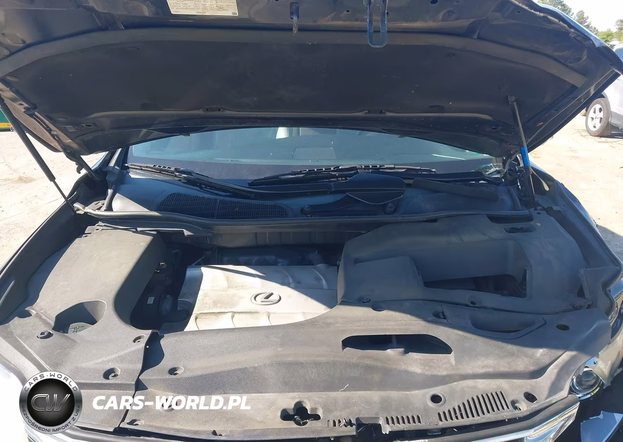 2011 Lexus Rx 350 VIN:2T2BK1BA0BC089491 - 10