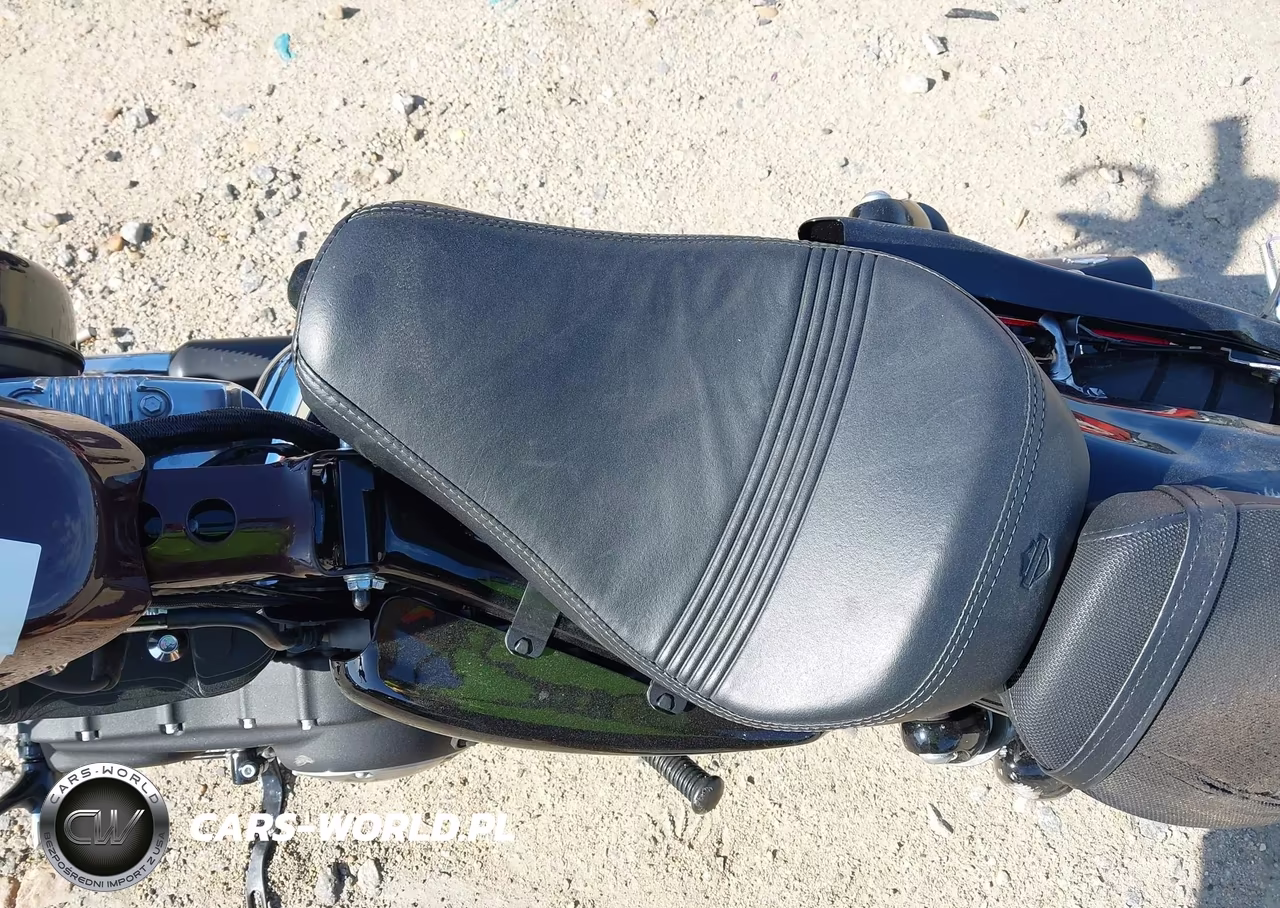 2021 Harley-Davidson Xl1200 X VIN:1HD1LC315MB401862 - 14