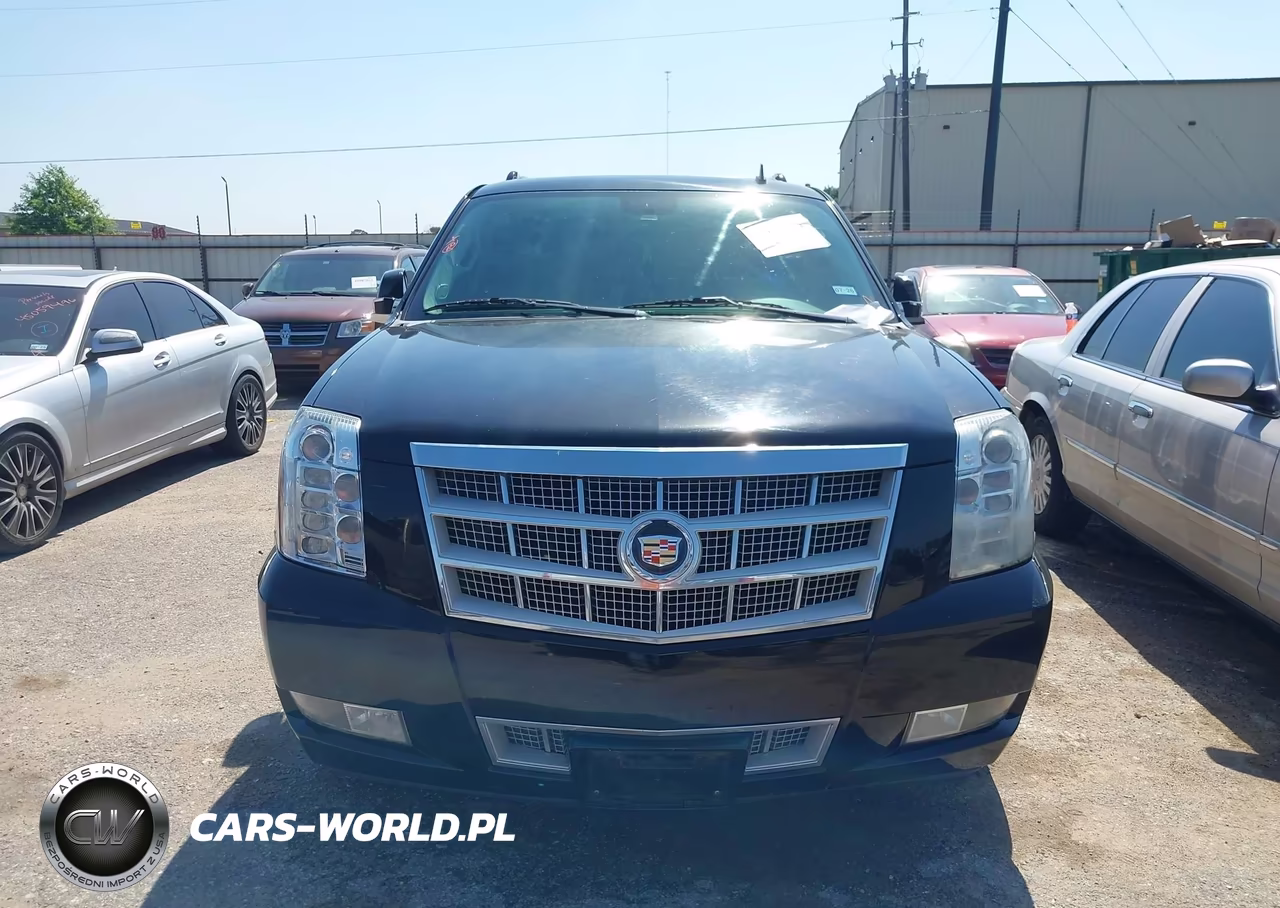 2013 Cadillac Escalade Esv Platinum Edition VIN:1GYS3KEF9DR358167 - 12