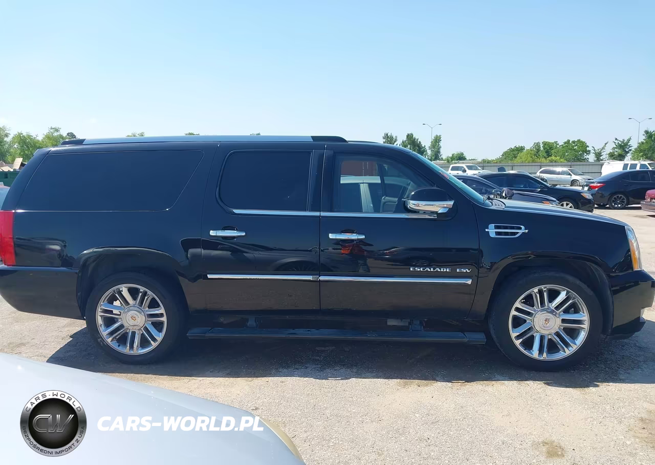2013 Cadillac Escalade Esv Platinum Edition VIN:1GYS3KEF9DR358167 - 13