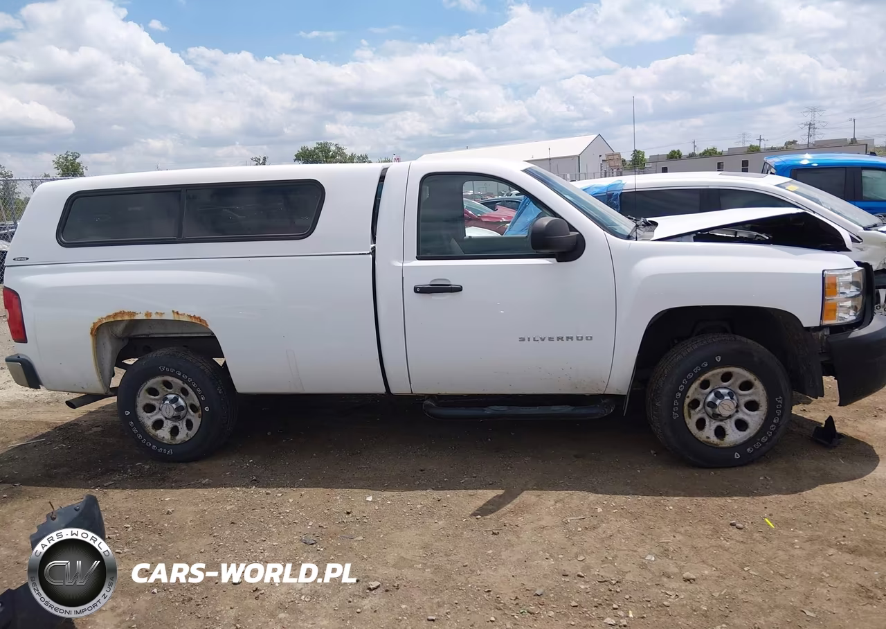 2010 Chevrolet Silverado 1500 Work Truck VIN:1GCPCPEX5AZ204052 - 14