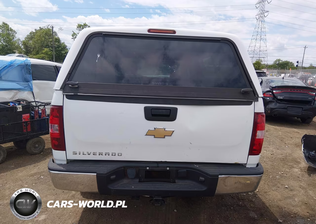 2010 Chevrolet Silverado 1500 Work Truck VIN:1GCPCPEX5AZ204052 - 17