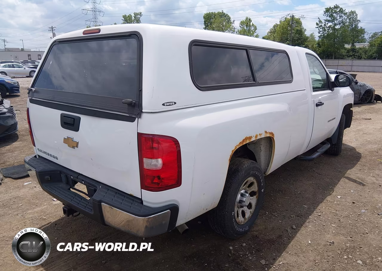 2010 Chevrolet Silverado 1500 Work Truck VIN:1GCPCPEX5AZ204052 - 4