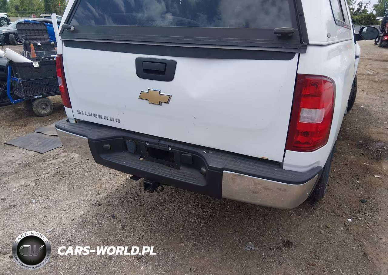 2010 Chevrolet Silverado 1500 Work Truck VIN:1GCPCPEX5AZ204052 - 6