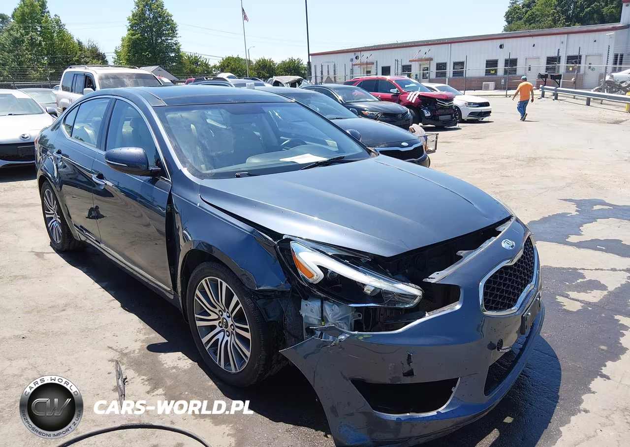2014 Kia Cadenza Premium