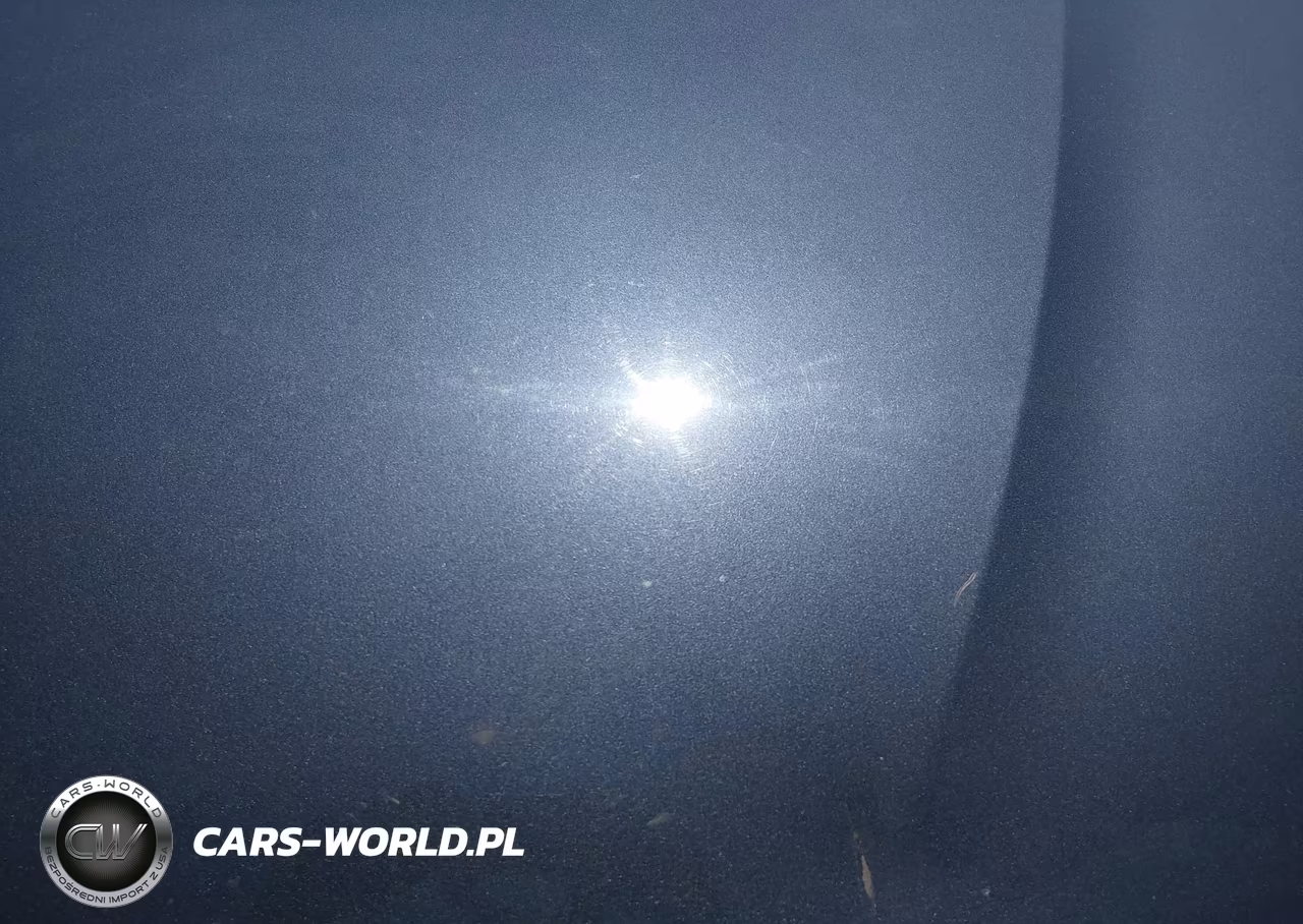 2014 Kia Cadenza Premium VIN:KNALN4D71E5132267 - 10