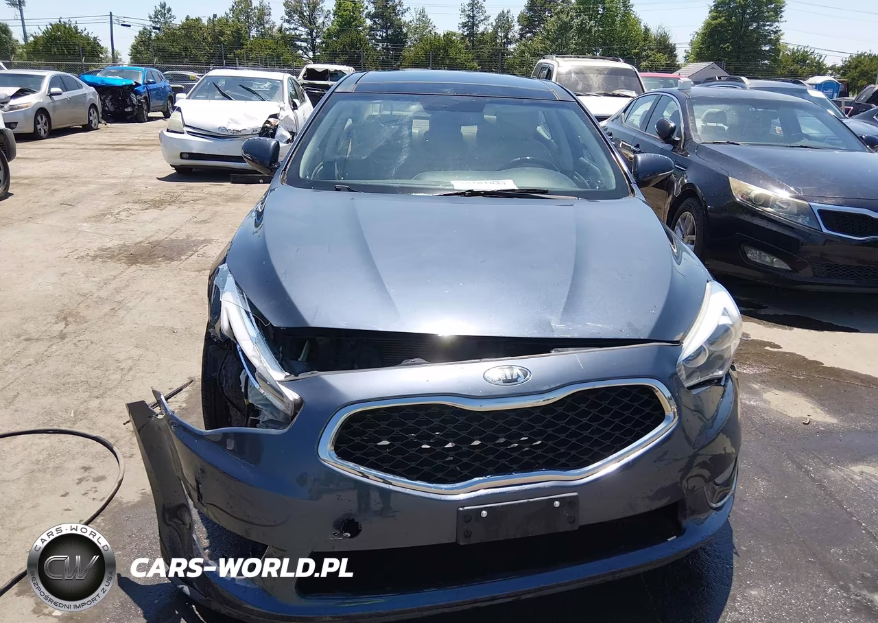 2014 Kia Cadenza Premium VIN:KNALN4D71E5132267 - 12