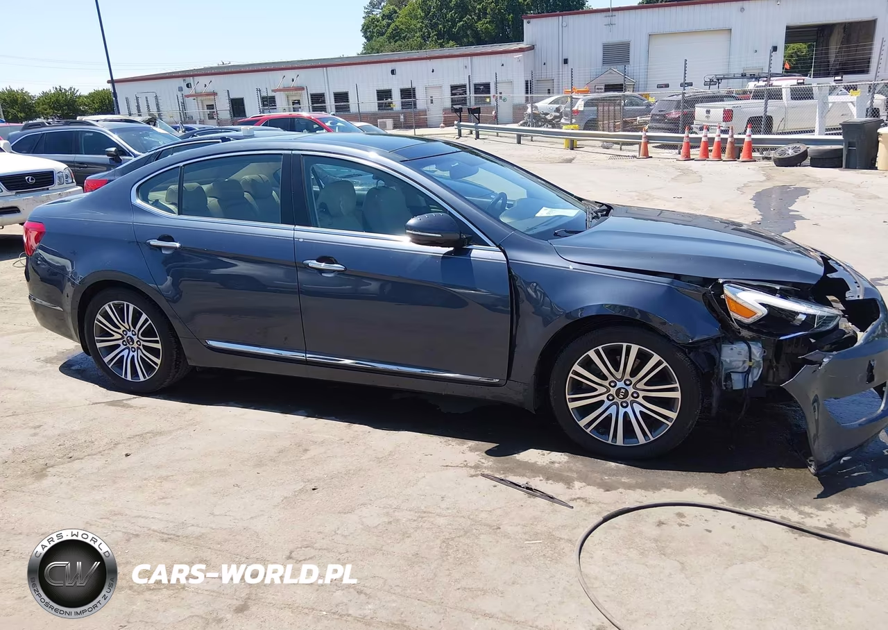 2014 Kia Cadenza Premium VIN:KNALN4D71E5132267 - 13