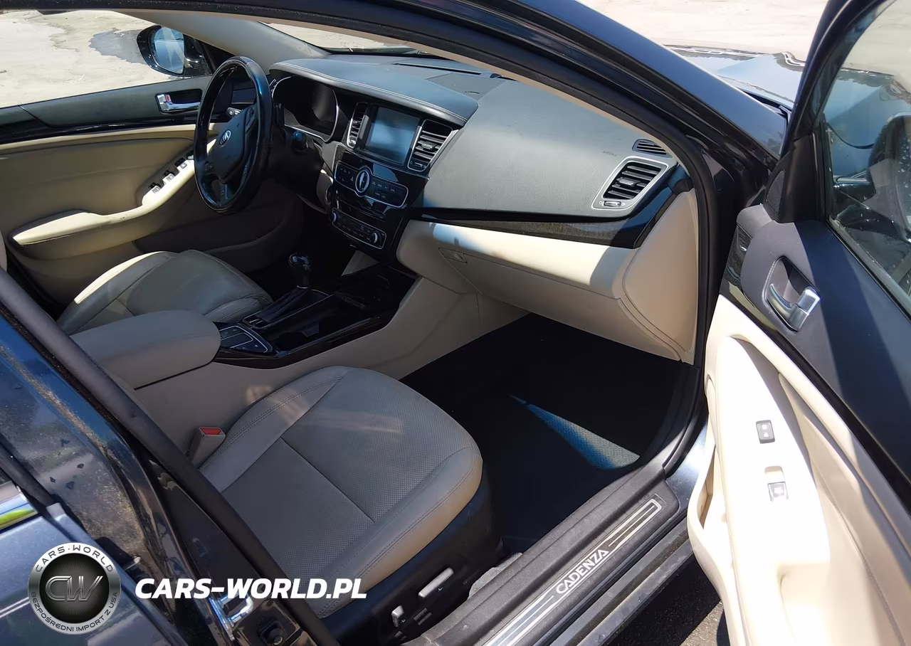 2014 Kia Cadenza Premium VIN:KNALN4D71E5132267 - 5