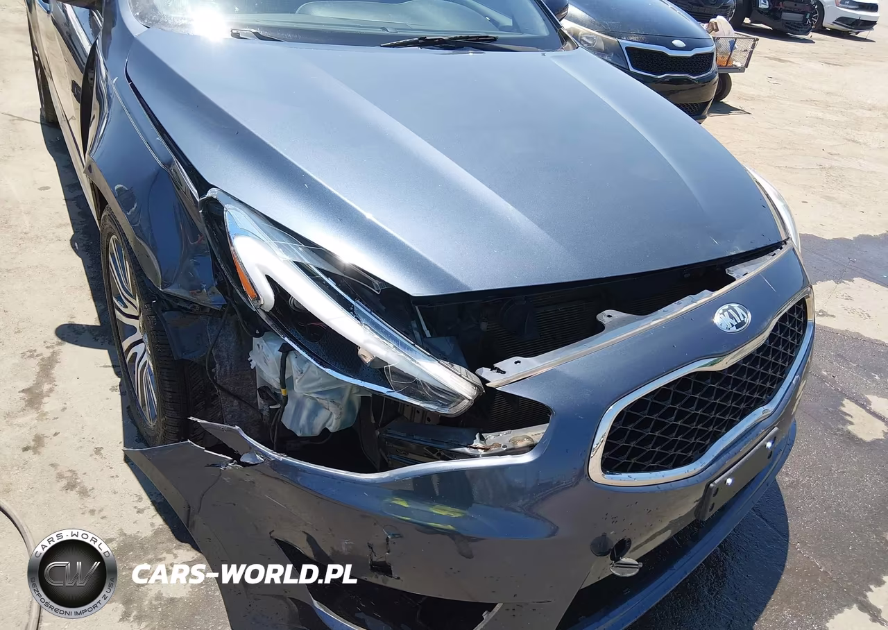 2014 Kia Cadenza Premium VIN:KNALN4D71E5132267 - 6