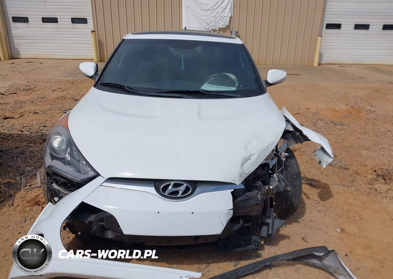 2017 Hyundai Veloster Value Edition VIN:KMHTC6AD1HU319576 - 12