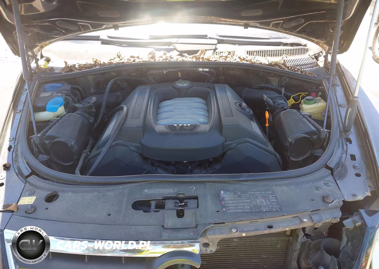 2006 Volkswagen Touareg V8 VIN:WVGZM77L96D031457 - 10