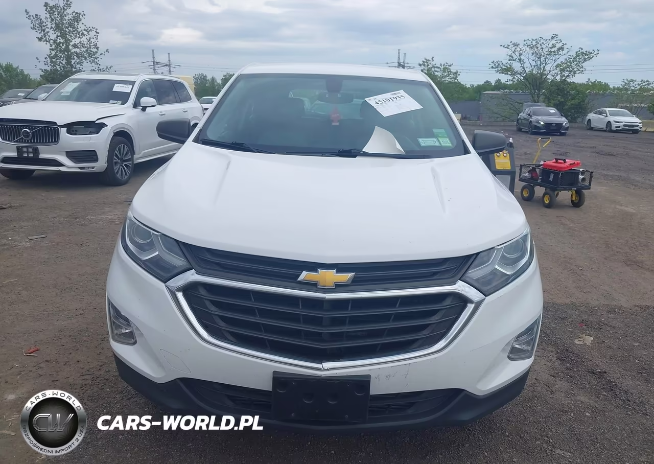 2018 Chevrolet Equinox Ls VIN:3GNAXREV7JL382368 - 12