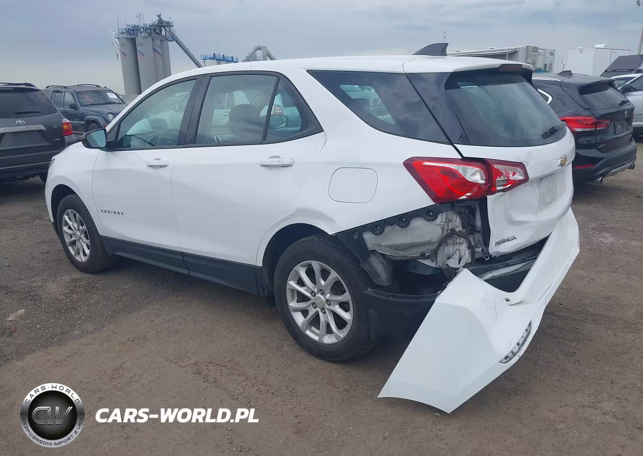 2018 Chevrolet Equinox Ls VIN:3GNAXREV7JL382368 - 3