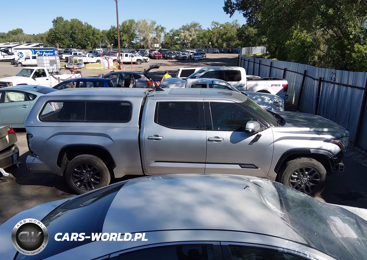 2022 Toyota Tundra Platinum VIN:5TFNA5EC8NX009868 - 14