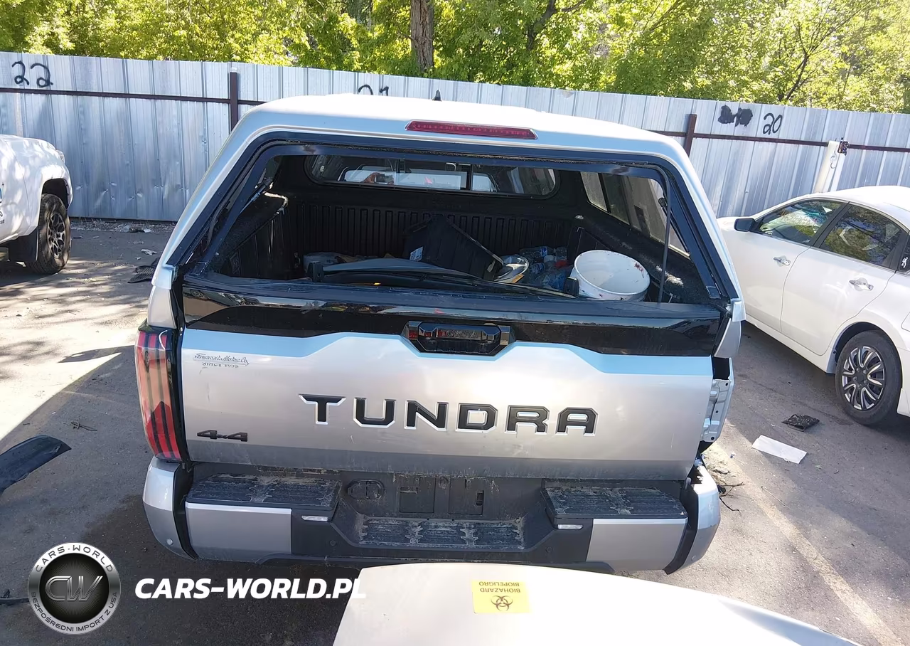 2022 Toyota Tundra Platinum VIN:5TFNA5EC8NX009868 - 17