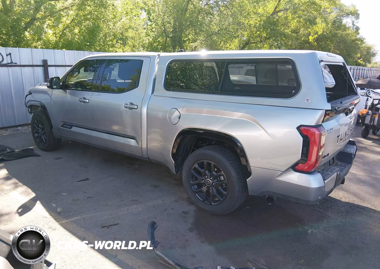 2022 Toyota Tundra Platinum VIN:5TFNA5EC8NX009868 - 3