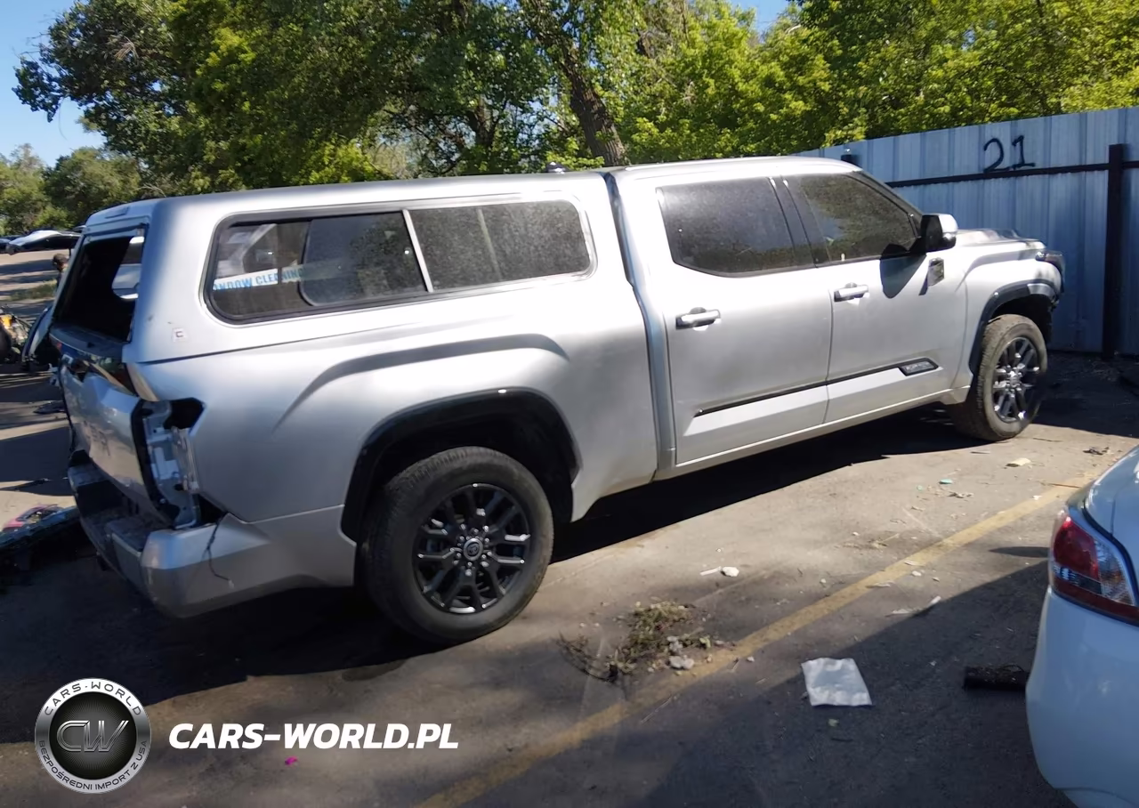2022 Toyota Tundra Platinum VIN:5TFNA5EC8NX009868 - 4