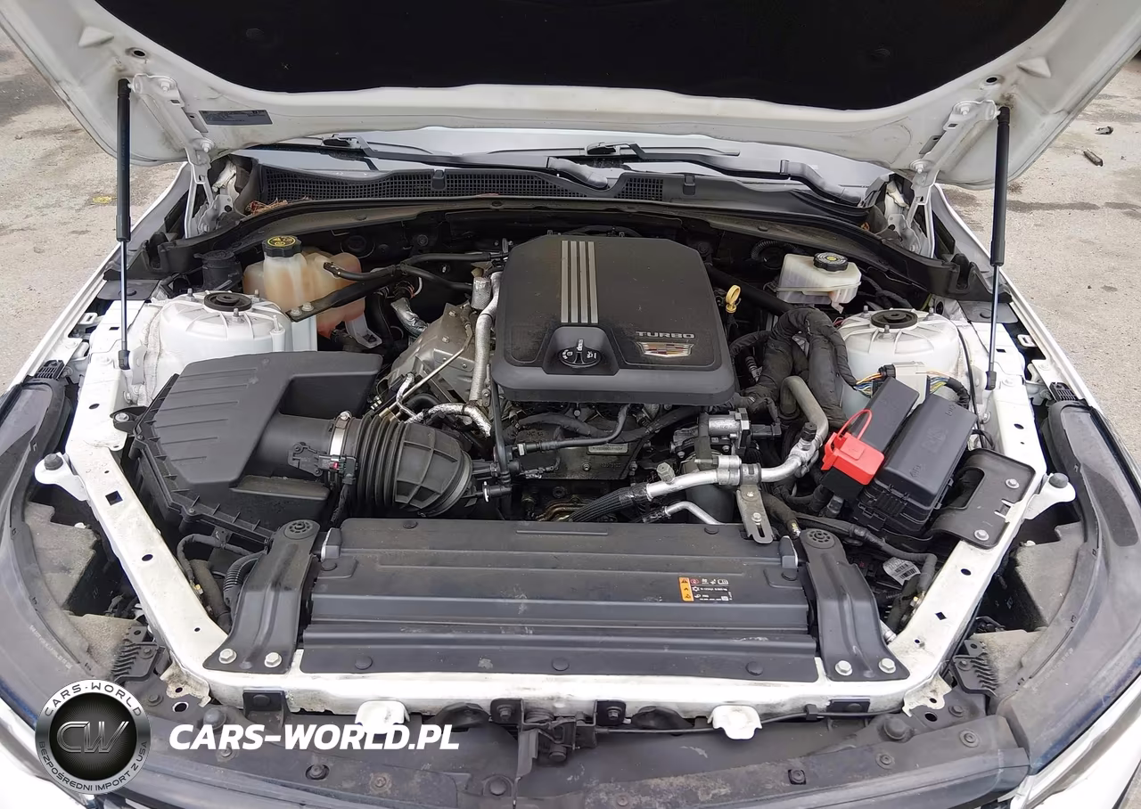 2020 Cadillac Ct4 Premium Luxury VIN:1G6DF5RKXL0156278 - 10