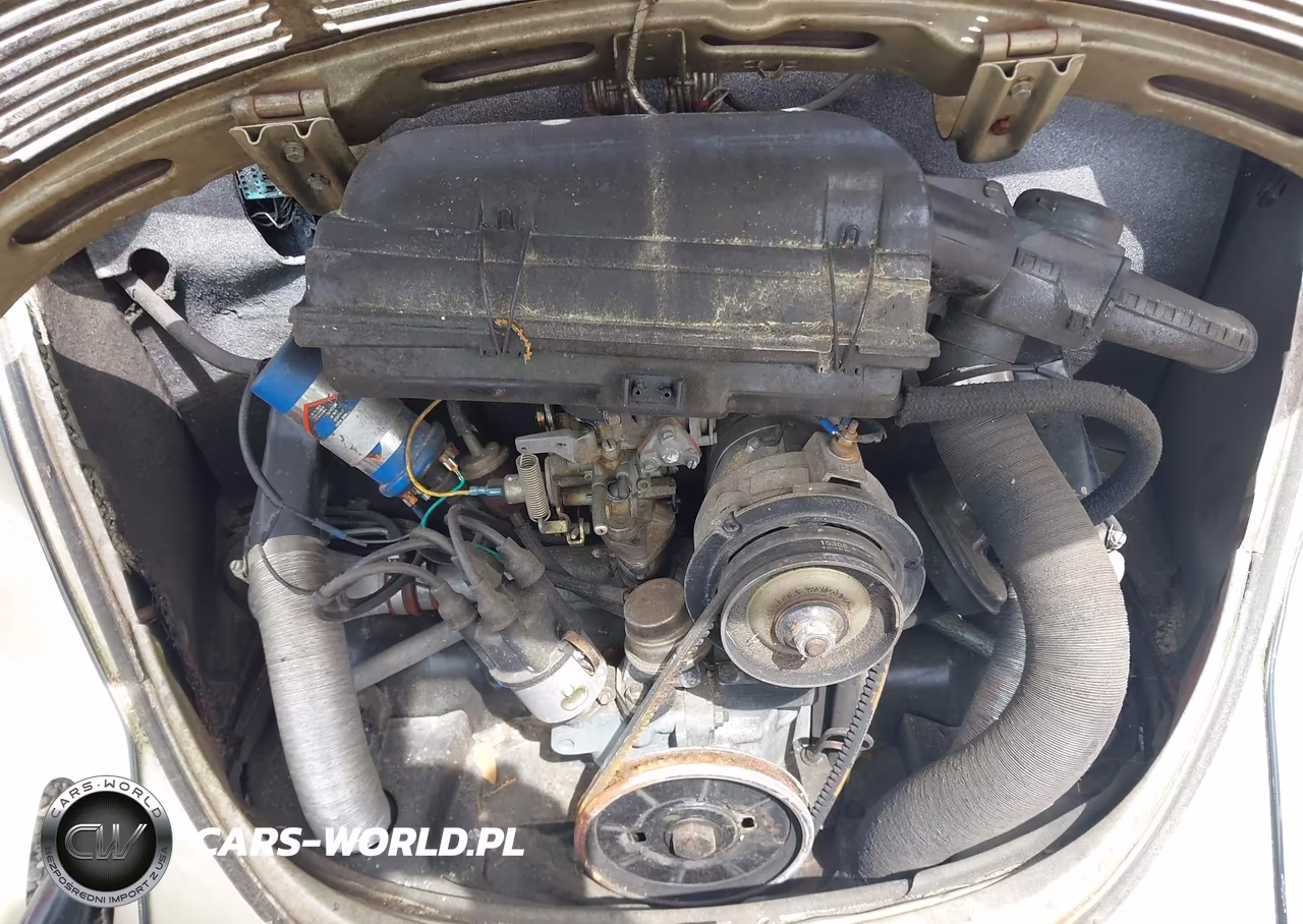 1974 Volkswagen 1142 VIN:1142676565 - 10