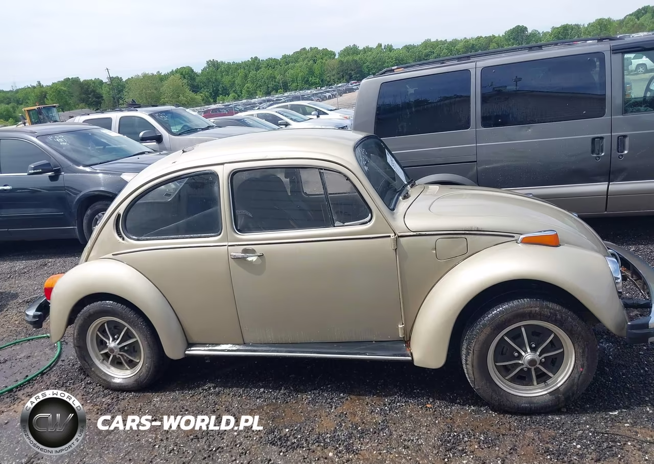 1974 Volkswagen 1142 VIN:1142676565 - 14