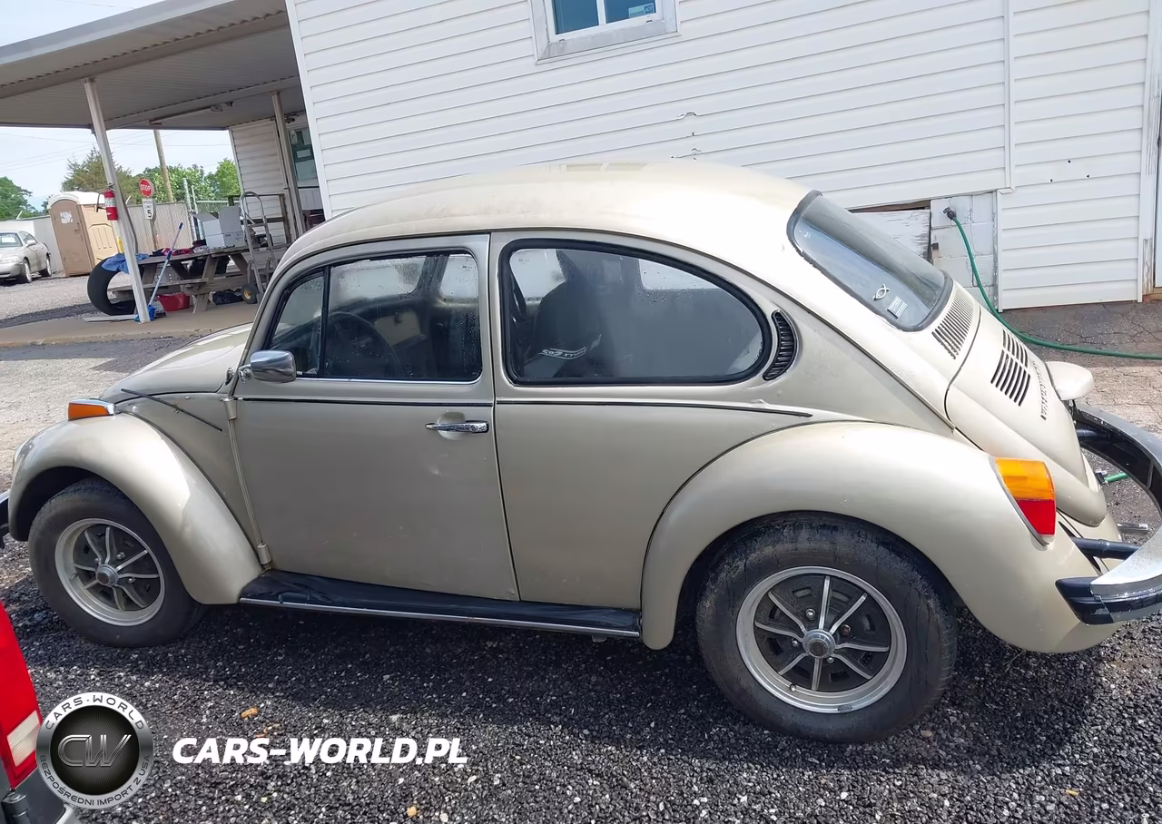 1974 Volkswagen 1142 VIN:1142676565 - 15