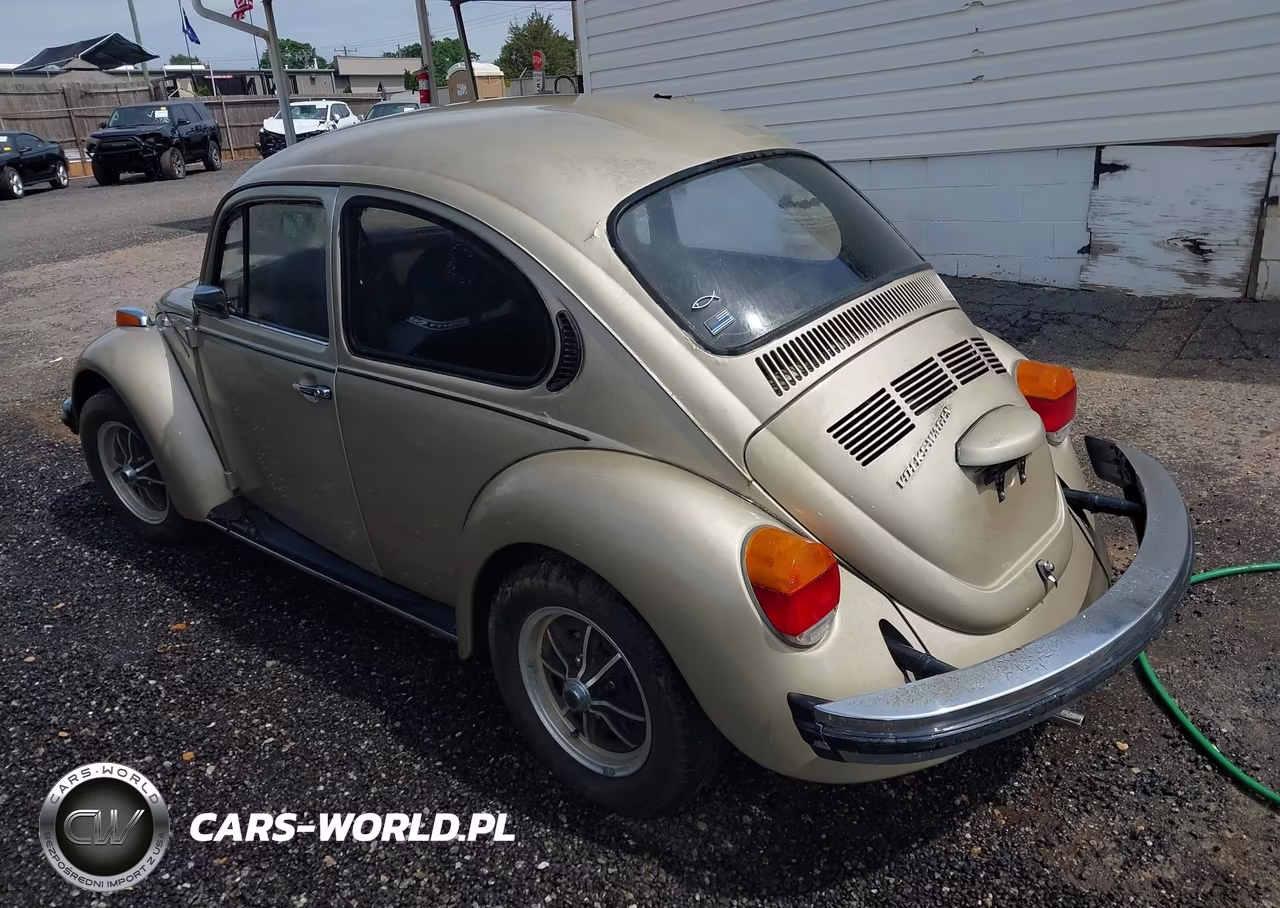 1974 Volkswagen 1142 VIN:1142676565 - 3