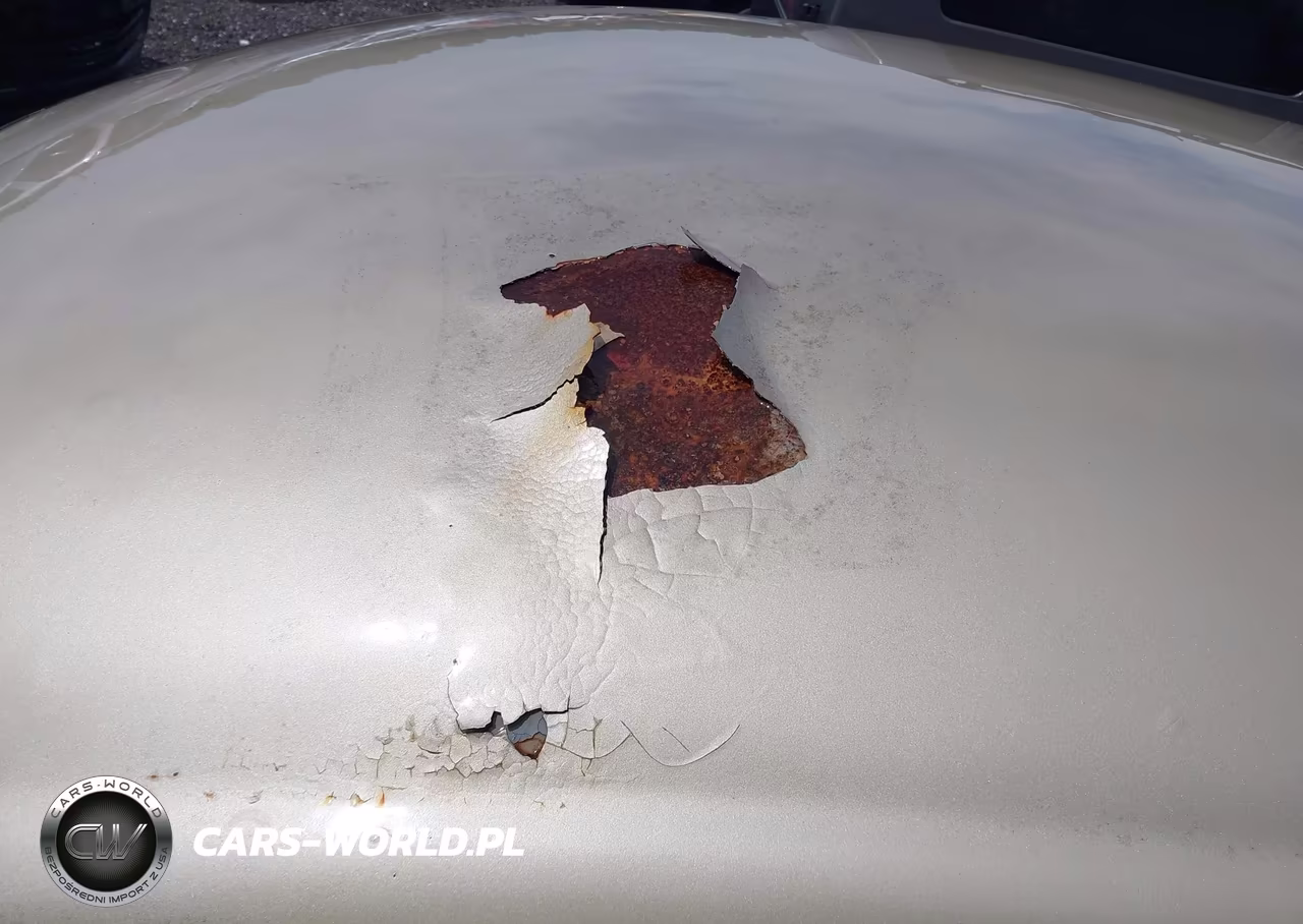 1974 Volkswagen 1142 VIN:1142676565 - 6