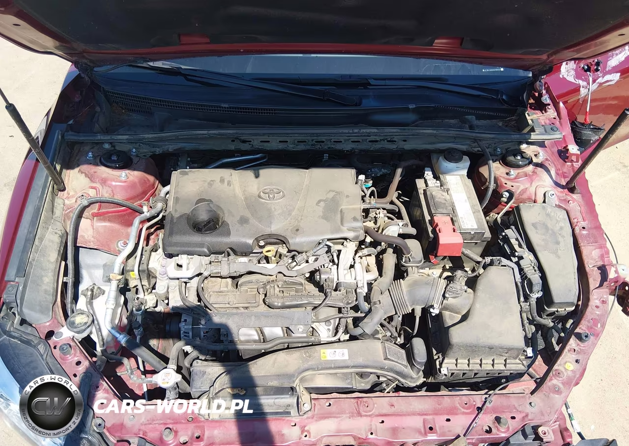 2019 Toyota Camry Xle VIN:4T1B11HK2KU789454 - 10