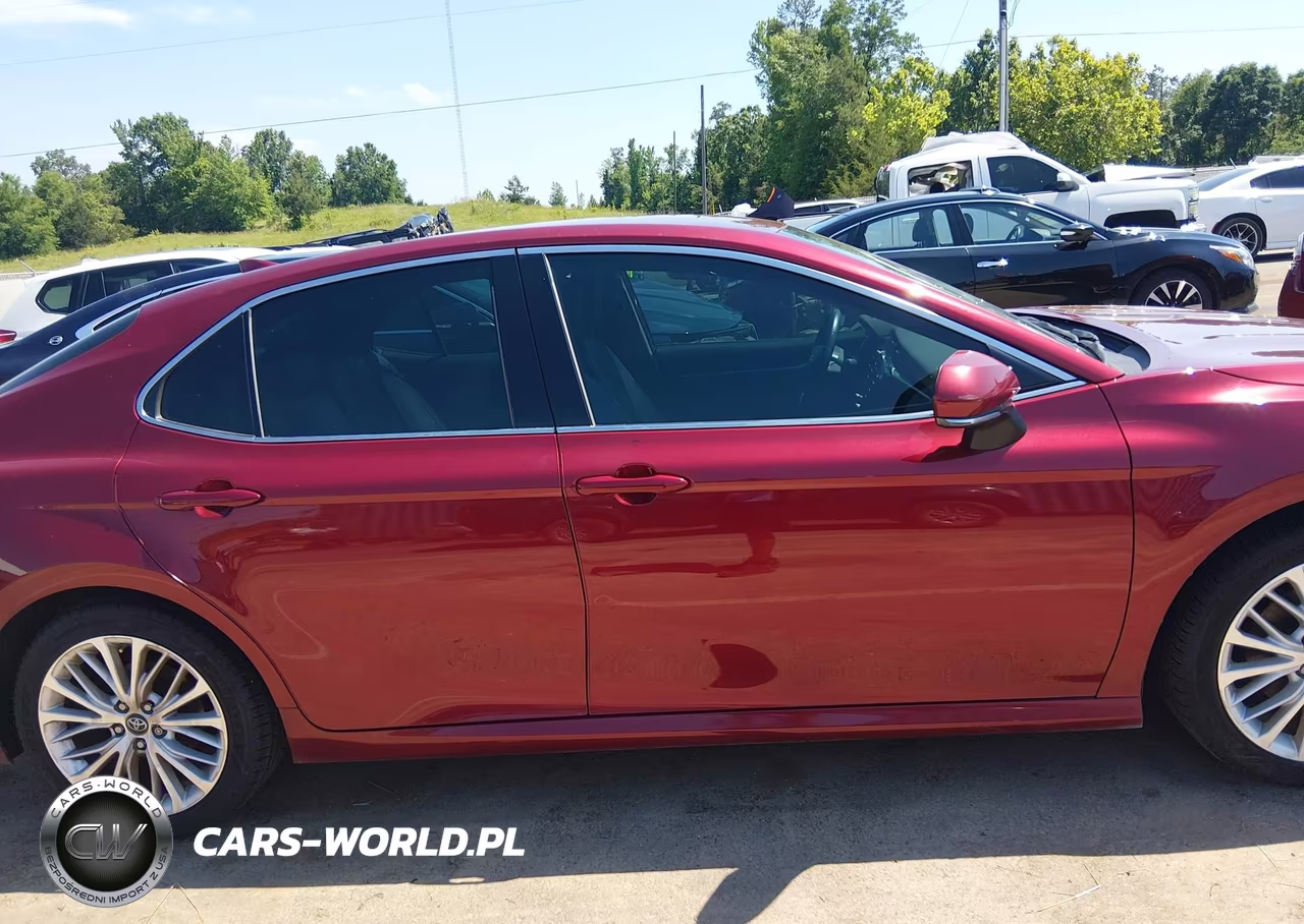 2019 Toyota Camry Xle VIN:4T1B11HK2KU789454 - 14