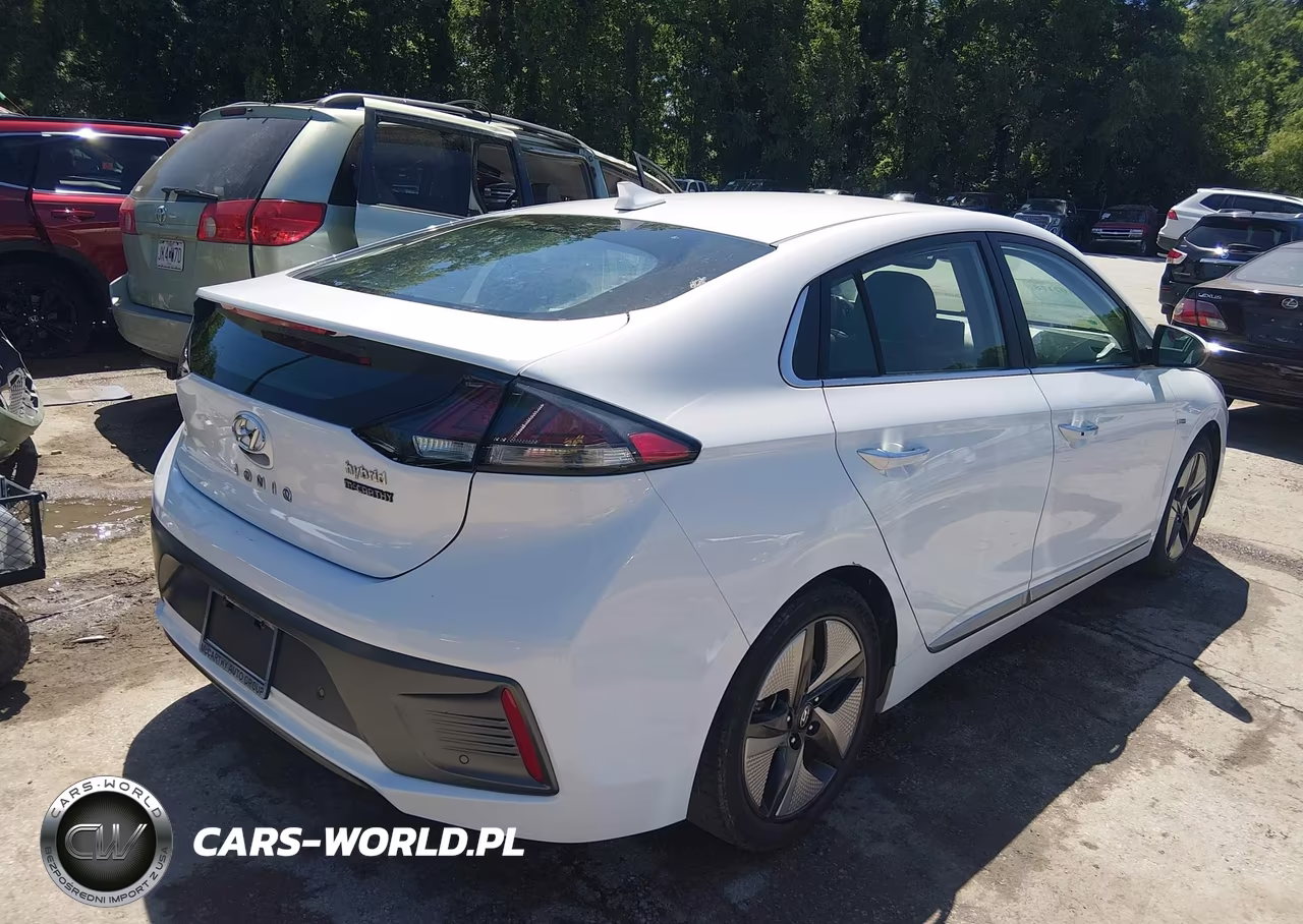 2020 Hyundai Ioniq Hybrid Limited VIN:KMHC05LC4LU212540 - 4