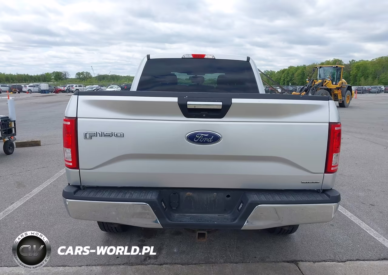 2015 Ford F-150 Xlt VIN:1FTFW1EF0FFB03517 - 16