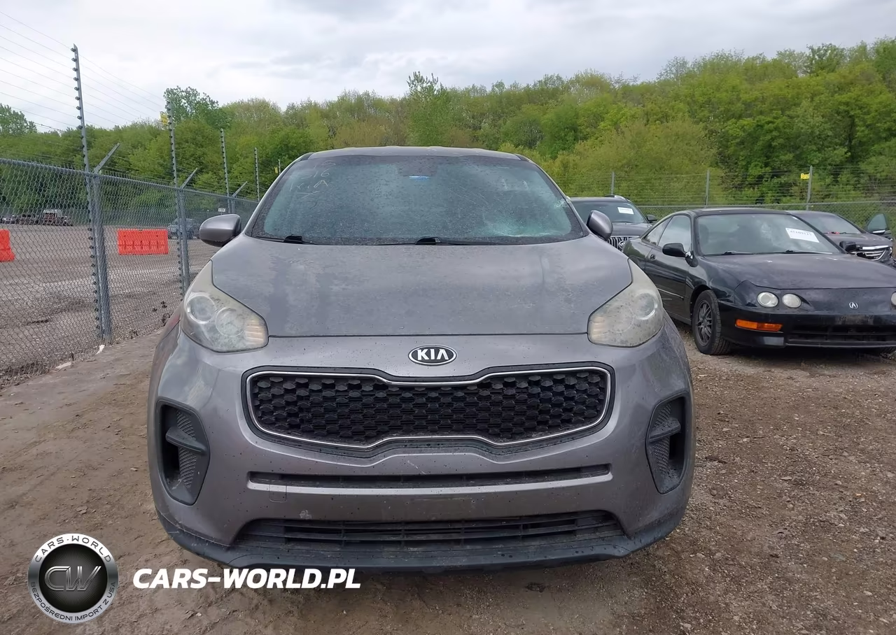 2019 Kia Sportage Lx VIN:KNDPM3AC9K7528935 - 12
