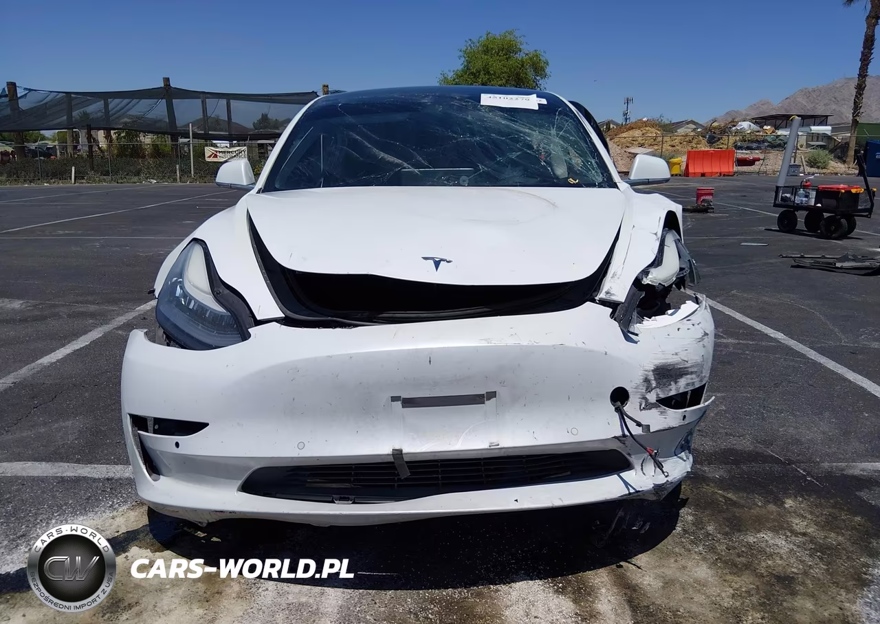 2019 Tesla Model 3 Long Range-Mid Range-Standard Range-Standard Range Plus VIN:5YJ3E1EA5KF427331 - 13