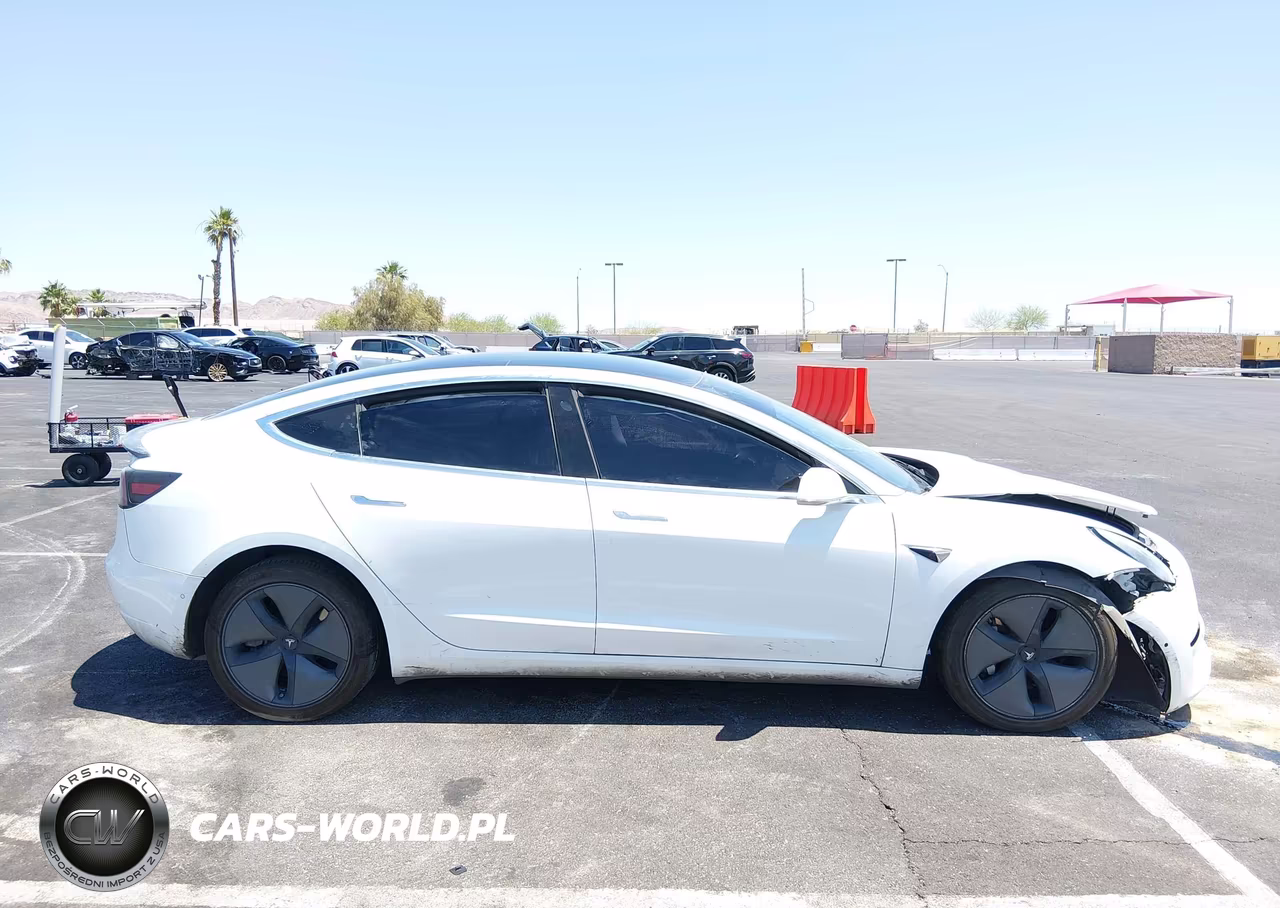 2019 Tesla Model 3 Long Range-Mid Range-Standard Range-Standard Range Plus VIN:5YJ3E1EA5KF427331 - 14