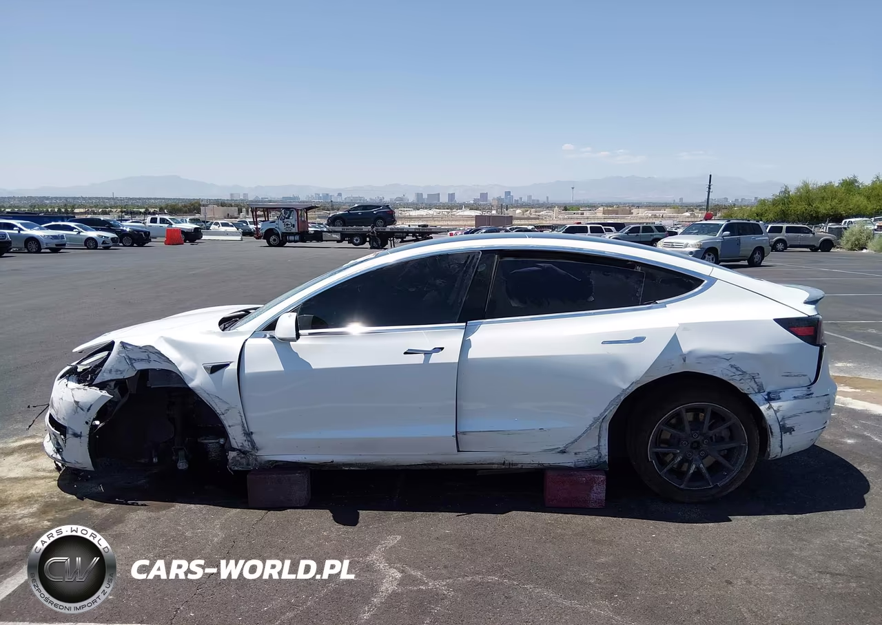 2019 Tesla Model 3 Long Range-Mid Range-Standard Range-Standard Range Plus VIN:5YJ3E1EA5KF427331 - 15