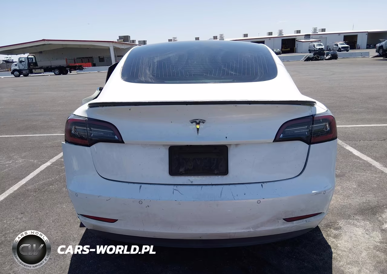 2019 Tesla Model 3 Long Range-Mid Range-Standard Range-Standard Range Plus VIN:5YJ3E1EA5KF427331 - 17