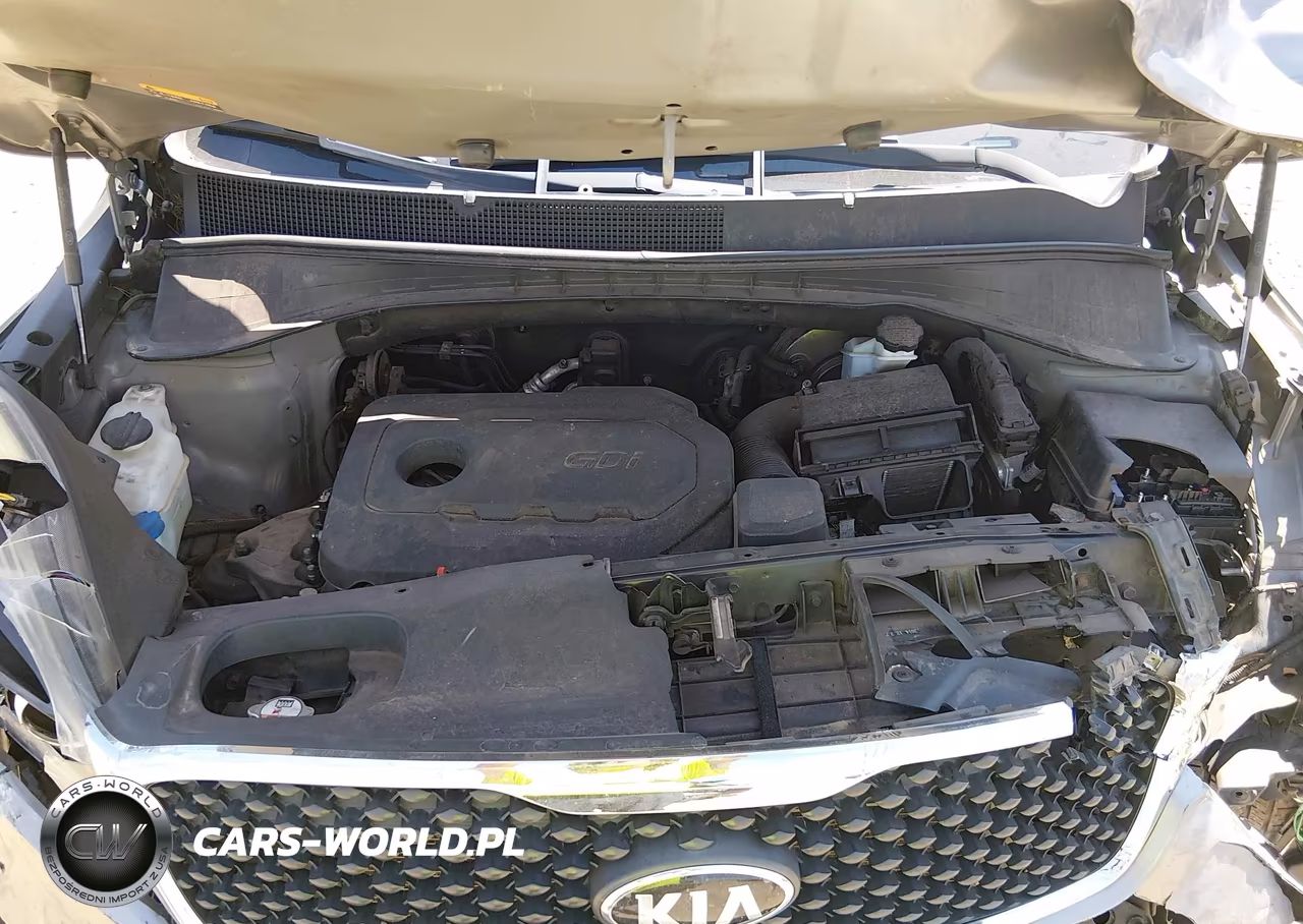 2016 Kia Sorento 2.4L Lx VIN:5XYPGDA39GG044142 - 10