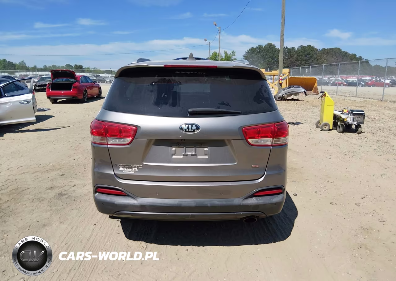 2016 Kia Sorento 2.4L Lx VIN:5XYPGDA39GG044142 - 16