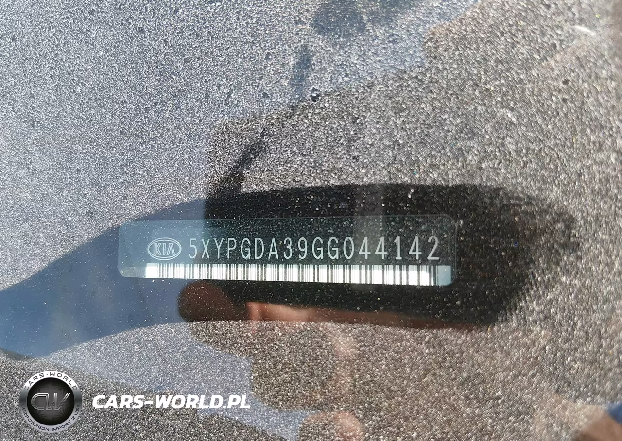 2016 Kia Sorento 2.4L Lx VIN:5XYPGDA39GG044142 - 17