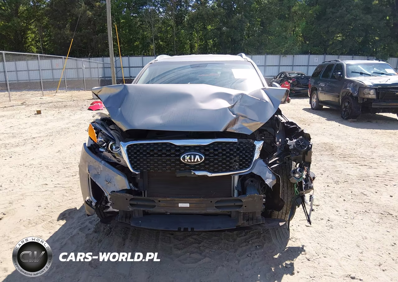 2016 Kia Sorento 2.4L Lx VIN:5XYPGDA39GG044142 - 6