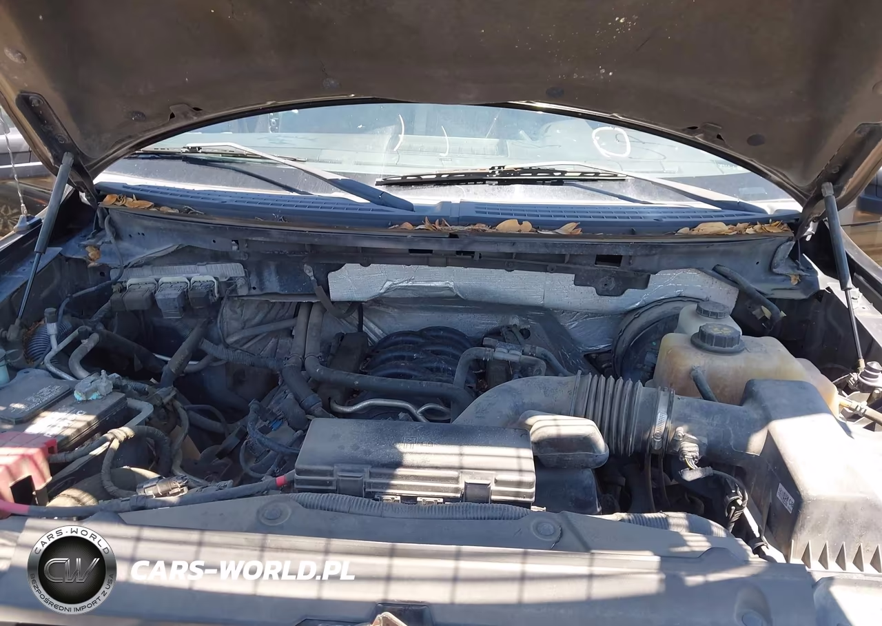 2013 Ford F-150 Stx VIN:1FTFX1CF5DFA37947 - 10